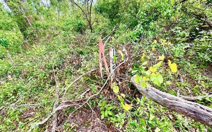 Land for sale in Lafayette County, Florida