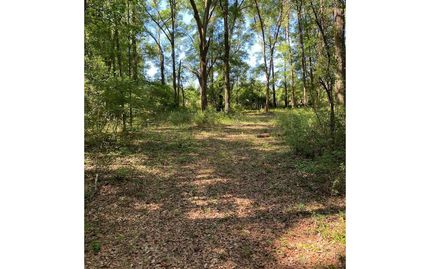 Homesite for sale in Lafayette County, Florida