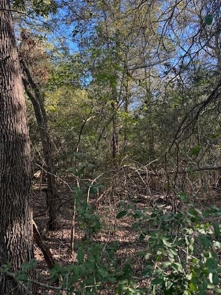 Undeveloped Land for sale in Bastrop County, Texas