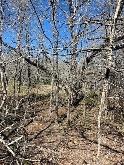 Undeveloped Land for sale in Bastrop County, Texas