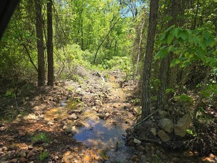 Undeveloped Land for sale in Pushmataha County, Oklahoma