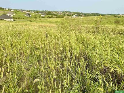 Undeveloped Land for sale in Sarpy County, Nebraska