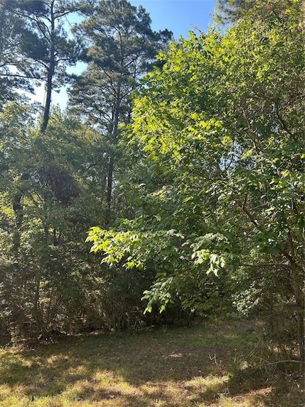 Recreational Property for sale in Polk County, Texas