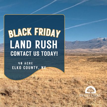 Undeveloped Land for sale in Elko County, Nevada