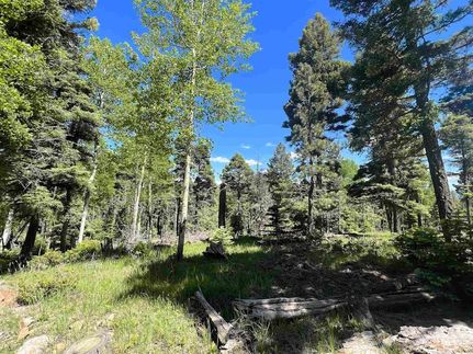 Undeveloped Land for sale in Colfax County, New Mexico