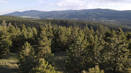Recreational Property for sale in Colfax County, New Mexico