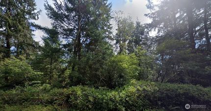 Undeveloped Land for sale in Pacific County, Washington
