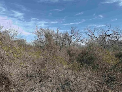 Farm and Ranch for sale in Llano County, Texas