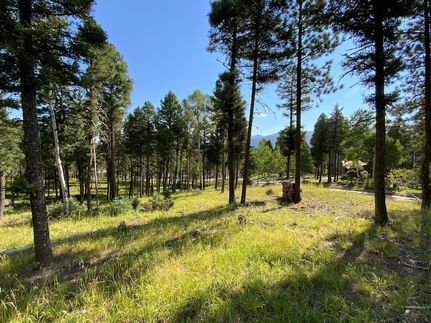 Undeveloped Land for sale in Colfax County, New Mexico