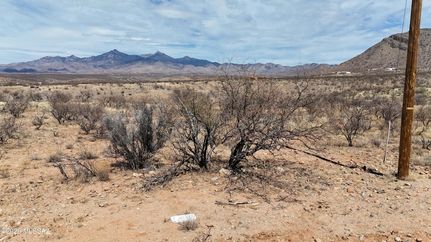 Farm and Ranch for sale in Santa Cruz County, Arizona