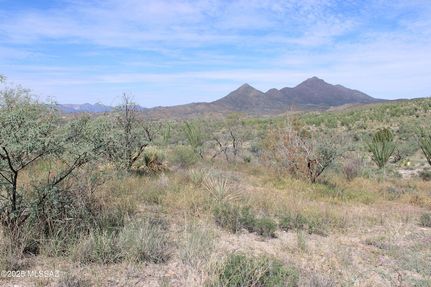 Farm and Ranch for sale in Santa Cruz County, Arizona
