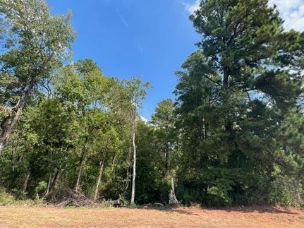 Undeveloped Land for sale in Jasper County, Texas