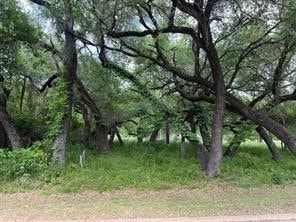 Undeveloped Land for sale in Hill County, Texas