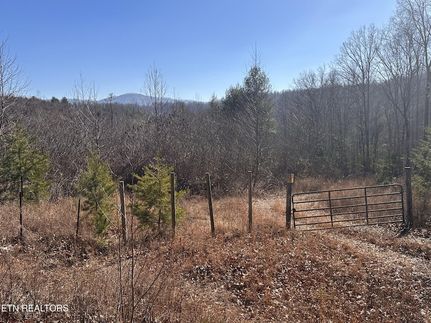 Undeveloped Land for sale in Morgan County, Tennessee