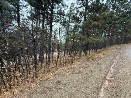 Recreational Property for sale in Colfax County, New Mexico