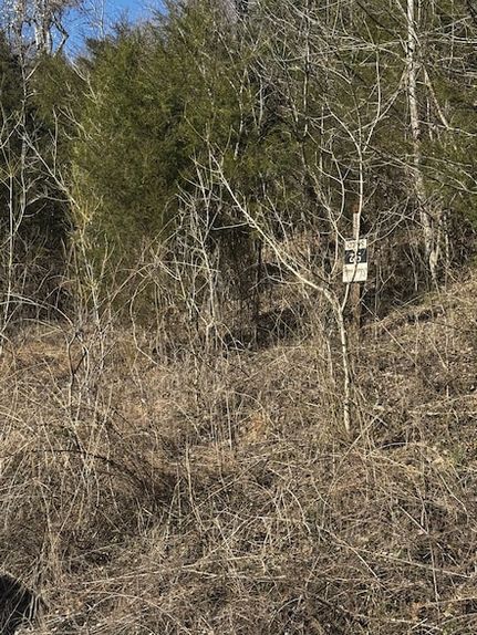 Undeveloped Land for sale in DeKalb County, Tennessee