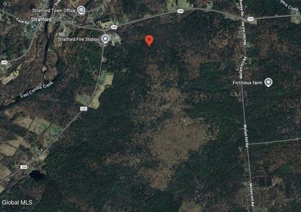 Undeveloped Land for sale in Fulton County, New York