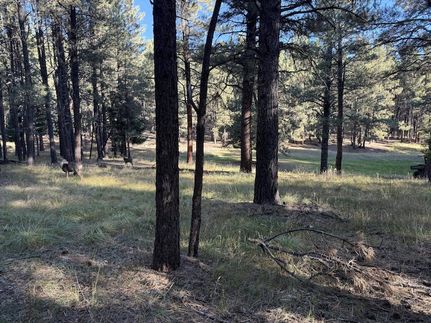 Undeveloped Land for sale in Colfax County, New Mexico