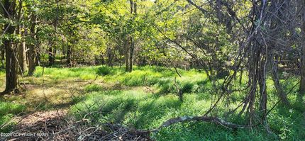 Recreational Property for sale in Carbon County, Pennsylvania