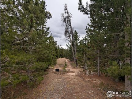 Land for sale in Larimer County, Colorado