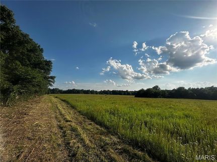 Timberland Property for sale in Audrain County, Missouri