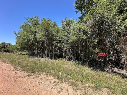 Undeveloped Land for sale in Bastrop County, Texas