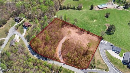 Timberland Property for sale in Campbell County, Tennessee