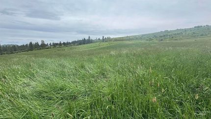 Undeveloped Land for sale in Idaho County, Idaho