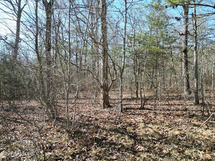 Farm and Ranch for sale in Cumberland County, Tennessee