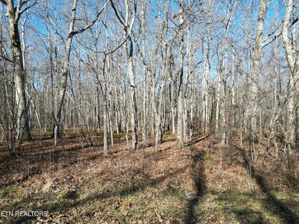 Recreational Property for sale in Cumberland County, Tennessee