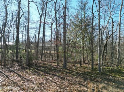 Recreational Property for sale in Cumberland County, Tennessee