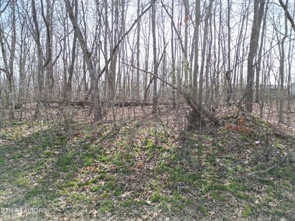 Farm and Ranch for sale in Cumberland County, Tennessee