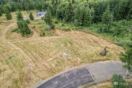 Undeveloped Land for sale in Cowlitz County, Washington