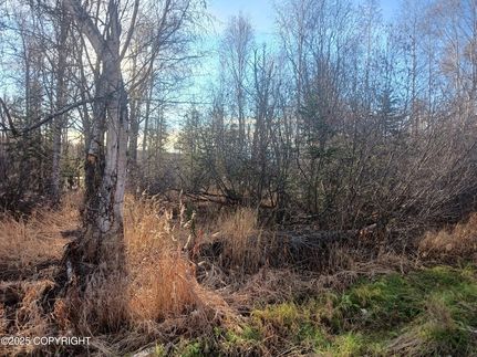 Farm and Ranch for sale in Matanuska-Susitna Borough, Alaska