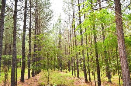 Farm and Ranch for sale in McCurtain County, Oklahoma