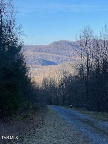 Timberland Property for sale in Unicoi County, Tennessee