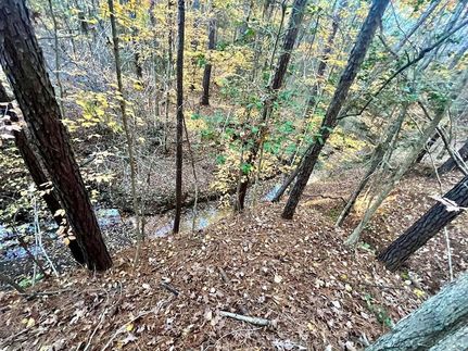 Farm and Ranch for sale in Sabine County, Texas