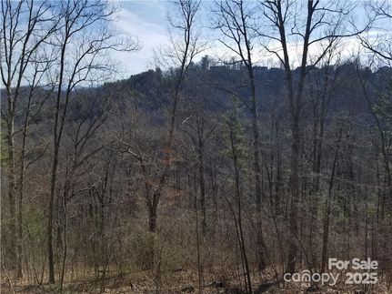 Undeveloped Land for sale in Buncombe County, North Carolina