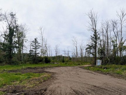 Undeveloped Land for sale in Aitkin County, Minnesota
