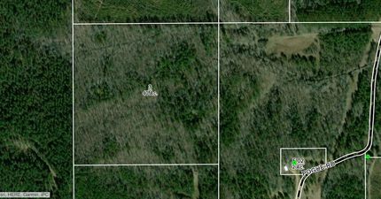 Farm and Ranch for sale in Webster County, Mississippi