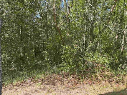 Farm and Ranch for sale in Leon County, Florida