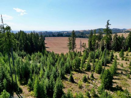 Undeveloped Land for sale in Idaho County, Idaho