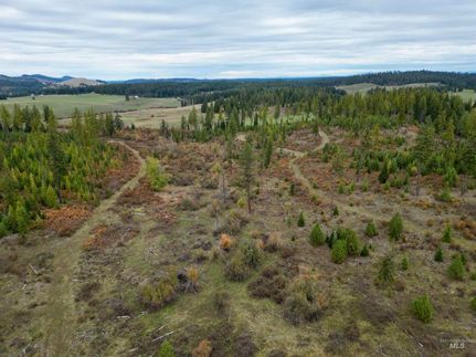 Timberland Property for sale in Idaho County, Idaho