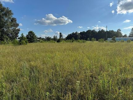 Recreational Property for sale in Lexington County, South Carolina