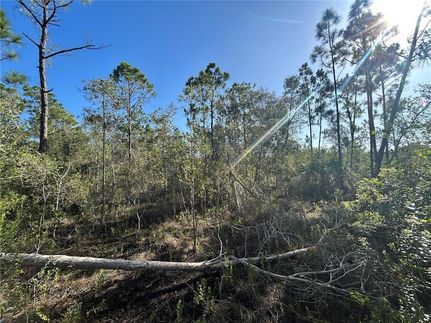 Farm and Ranch for sale in Charlotte County, Florida
