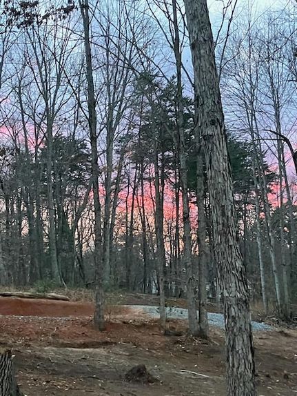 Undeveloped Land for sale in Bedford County, Virginia