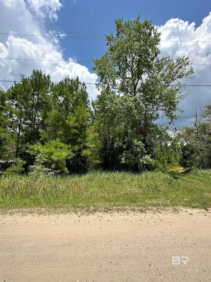 Land for sale in Mobile County, Alabama