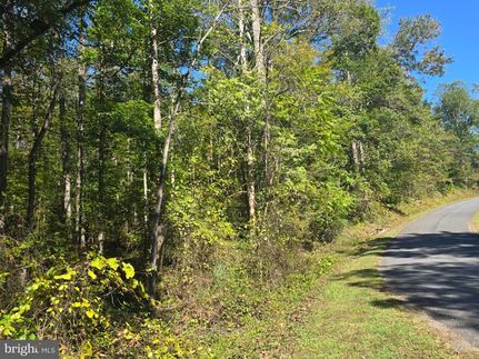 Undeveloped Land for sale in Madison County, Virginia