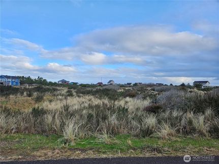 Undeveloped Land for sale in Grays Harbor County, Washington