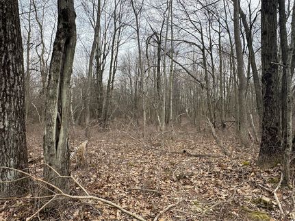 Timberland Property for sale in Monroe County, Pennsylvania